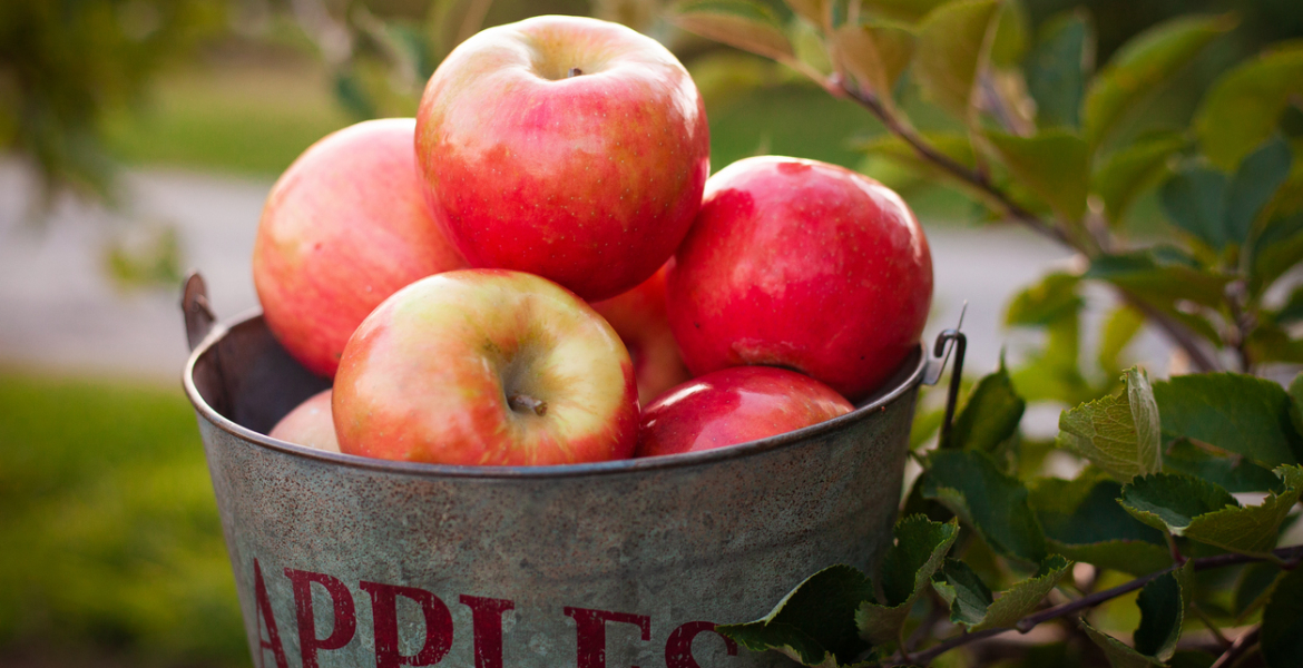 فوائد التفاح على الجسم بشكل يومي