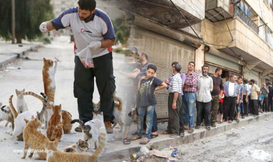رئيس مجلس مدينة حلب يدعو المواطنين للعناية بالقطط