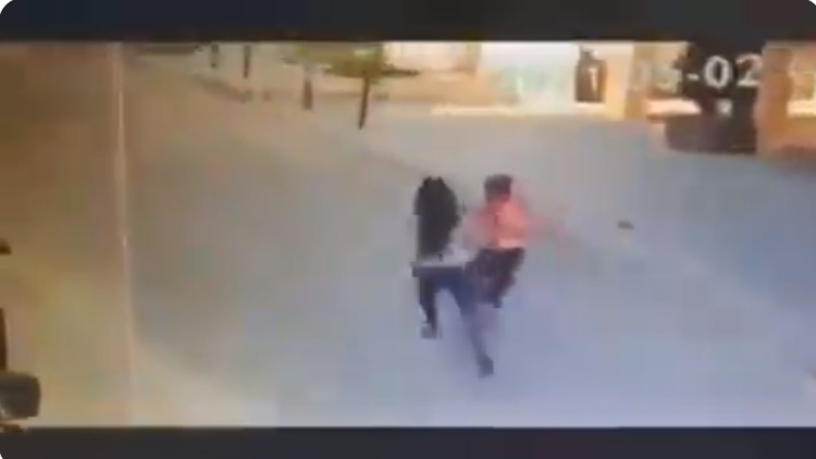 امرأة لبنانية تعتدي بالضرب الوحشي على طفل سوري ... فيديو