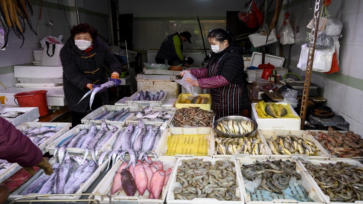 دراسة: نحو 50 ألف حيوان حي كانت مطروحة في أسواق ووهان الصينية قبل الجائحة‎