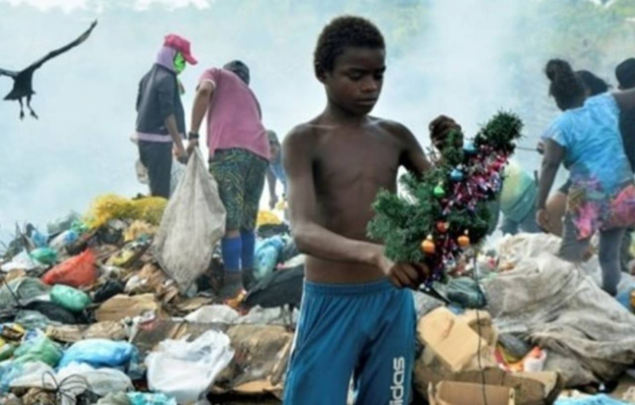 شجرة ميلاد في أكوام القمامة تغير حياة عائلة فقيرة
