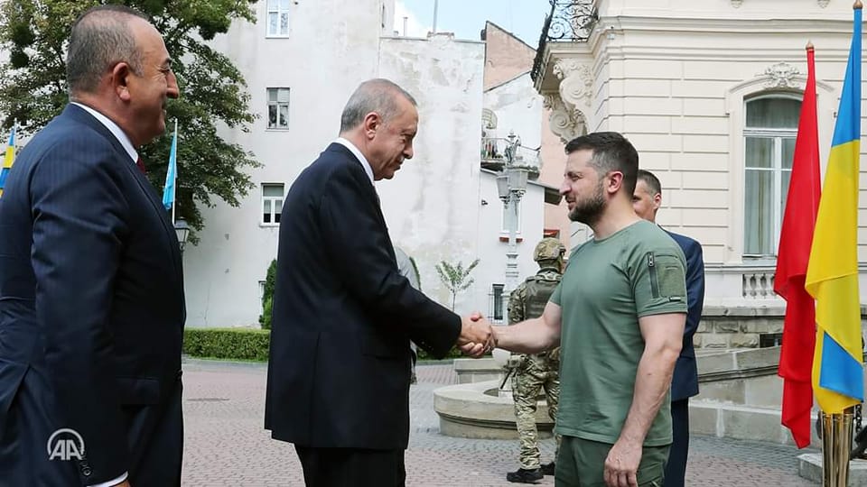 الرئيس التركي يلتقي نظيره زيلينسكي في أوكرانيا