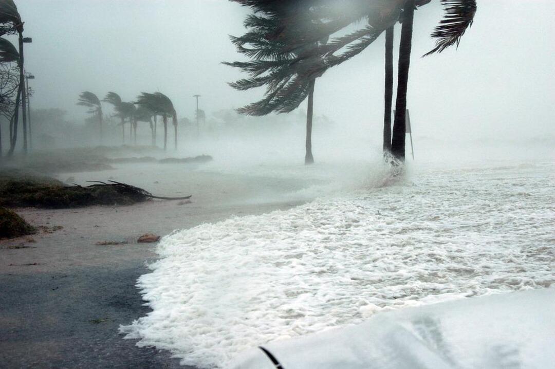إعصار هينامور