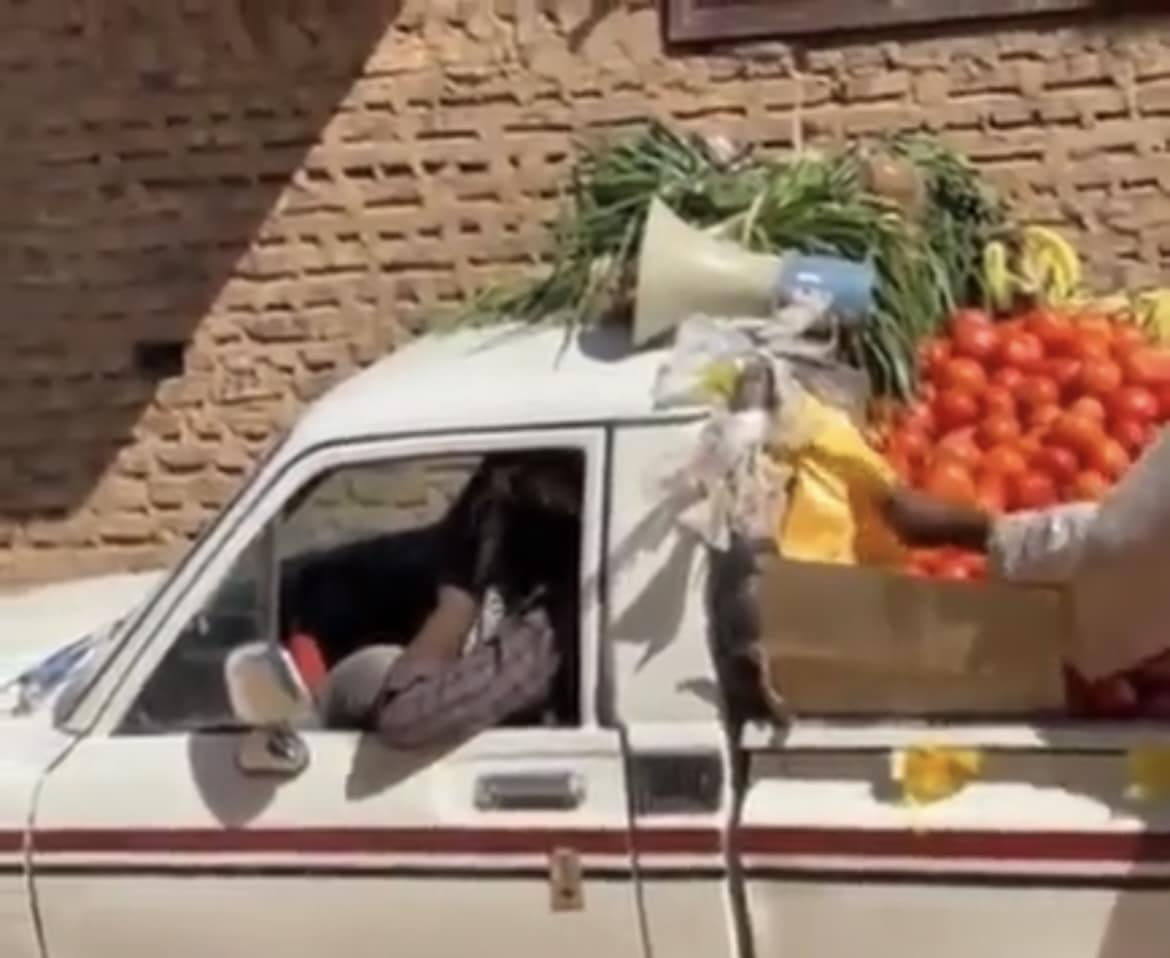 بائع طماطم