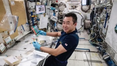 تكاثر الكائنات الحية في الفضاء: انجاز ياباني يفتح آفاق الاستكشاف الفضائي
