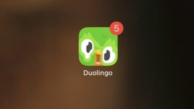 "Duolingo تفاجئ مستخدميها بتصميم شعار غامض: البومة الذائبة تثير الدهشة"