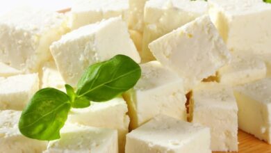 "فوائد مذهلة لتناول الجبن: تأثيرات إيجابية على صحة القلب والدماغ والأمعاء"
